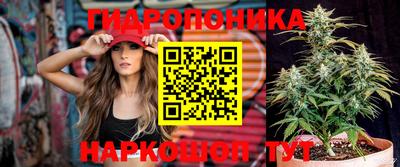 прущие крисы Бузулук