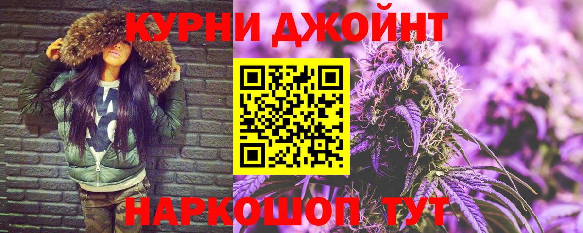 Шишки марихуана сатива Тула